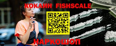 индика Новозыбков