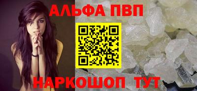 шишки Новодвинск