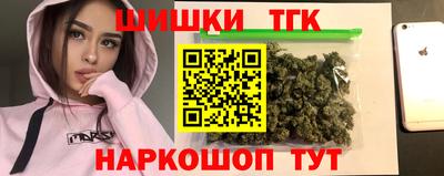 шишки Новодвинск
