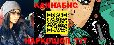 шишки Новодвинск