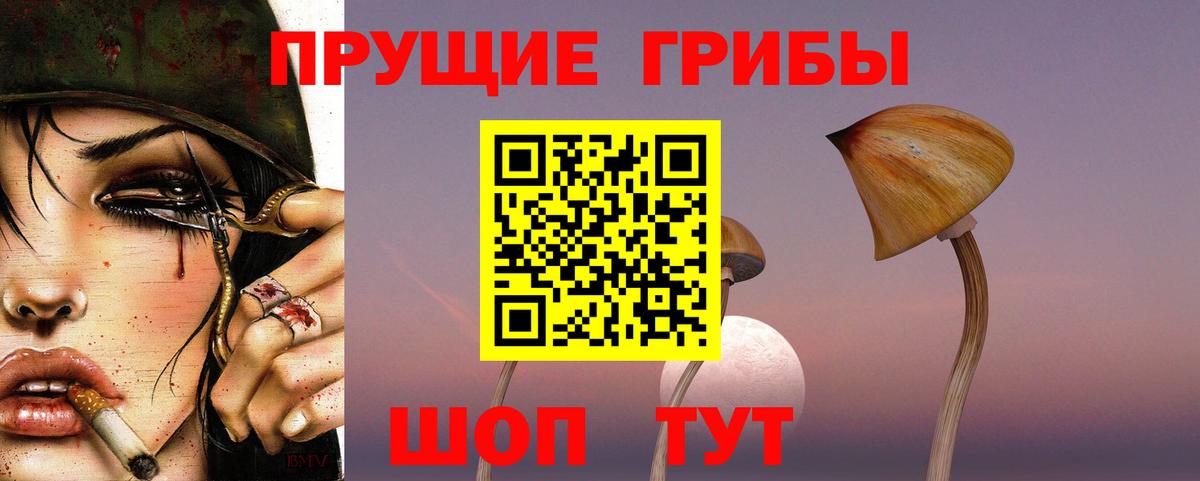Псилоцибиновые грибы мицелий Тайшет